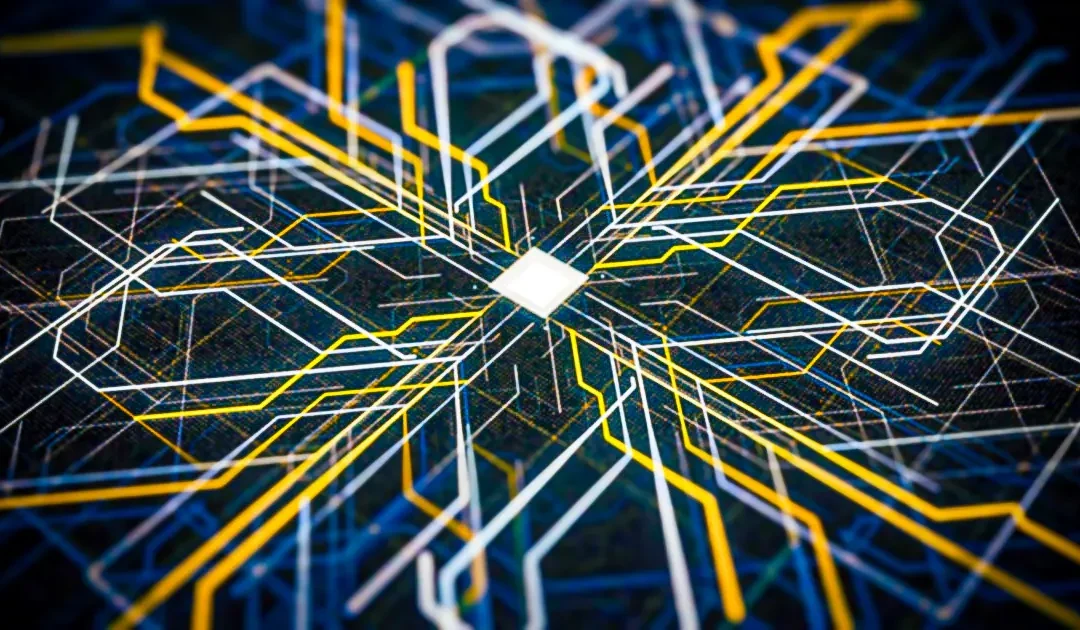 Know your algorithm – explaining decisions with AI